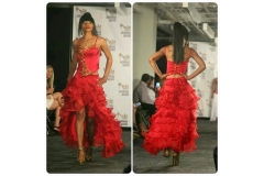 282 Photos by Gary Garrison Fashions by Rashida Thomas with _ShedasFashion (2017_12_14 22_16_35 UTC)