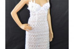 DSC_0107 (2017_12_14 22_16_35 UTC)